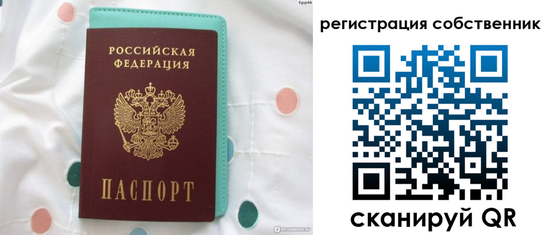 прописка для школы в Алексеевке